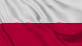 Flag of Poland. High quality 4K resolution
