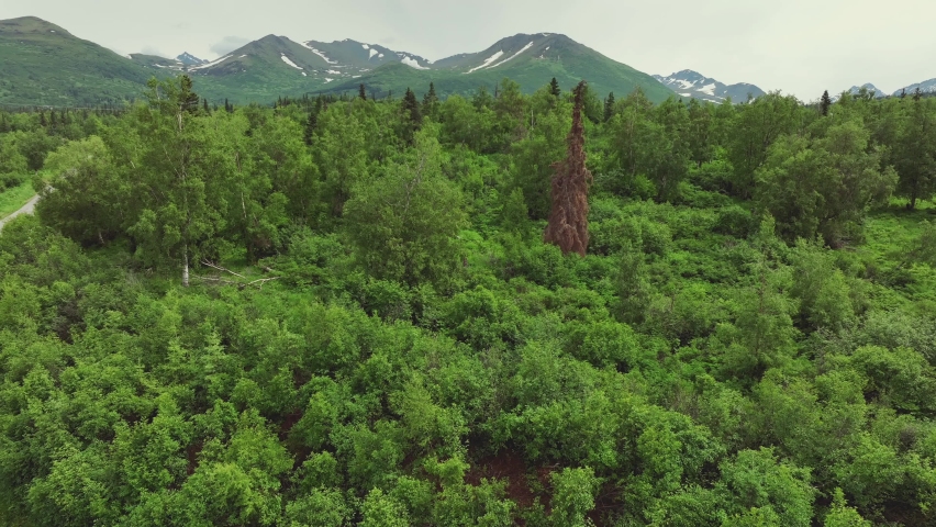 Green Forest And Scenic Mountain View In The Countryside Of Anchorage, Alaska. Aerial Drone Shot