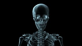 3D medical animation of a human skeleton rotating isolated background.  3d rendering 