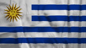 Flag of Uruguay. High quality 4K resolution.	
