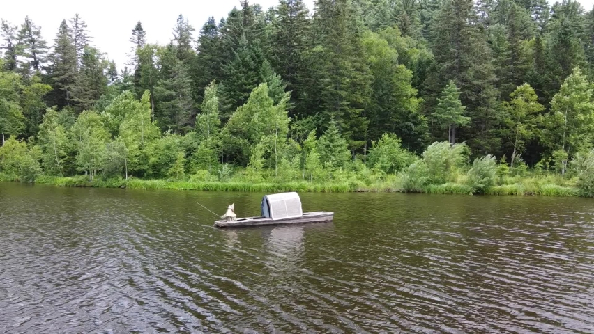 Drone shot of a lake among forests