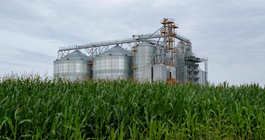 silos on agro-processing and manufacturing plant for processing drying cleaning and storage of agricultural products and grain in corn field. Modern Granary elevator with seeds cleaning line.  Royalty-Free Stock Footage #1092786055