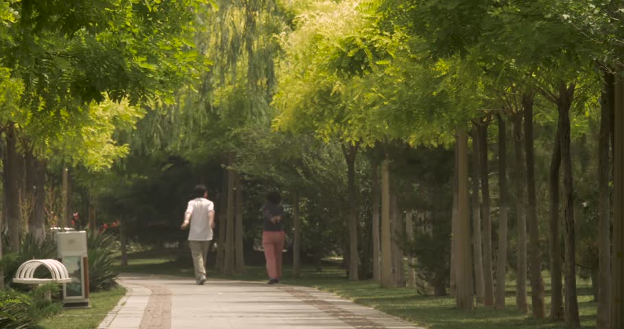 People Walking and Exercising in China Park