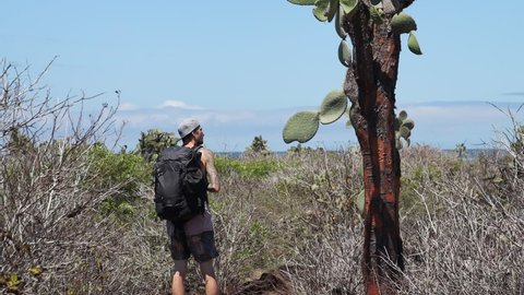 Male Photographer with Backpack Tourist Taking Photos Of Opuntia Galapageia In Santa Cruz In The Galapagos. Slow Motion