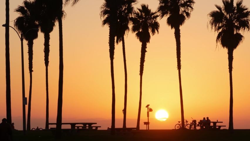 Orange sky, silhouettes of palm trees on beach at sunset, California coast, USA. Bicycle or bike in beachfront park at sundown in San Diego, Mission beach vacations resort on shore. People walking. Royalty-Free Stock Footage #1092810733