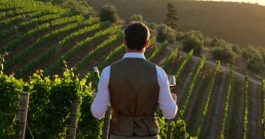 young smiling barman posing with an open bottle of expensive red wine in his hand. elegant man in a vest holds a glass of wine and a bottle of whig in his hands. Elegant man in suit  Royalty-Free Stock Footage #1092813411