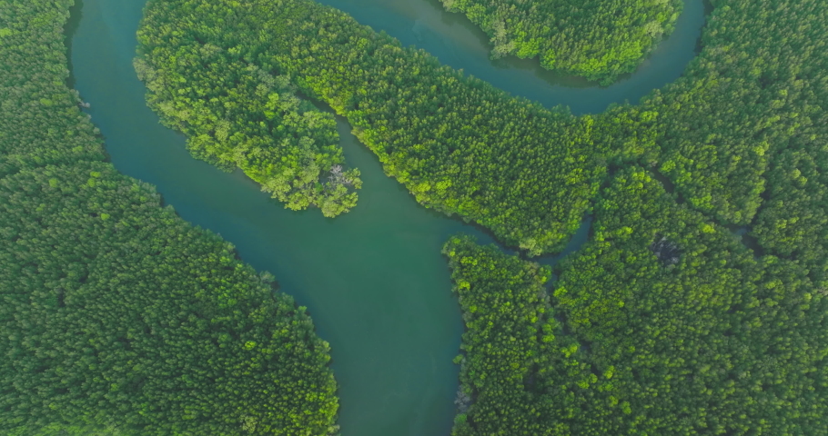 Aerial top view from above show line of water with mangrove forest on a tropical island in Phang Nga bay, Krabi, Thailand. Travel destination and summer vacation concept. Bird's eye view. Royalty-Free Stock Footage #1092822395
