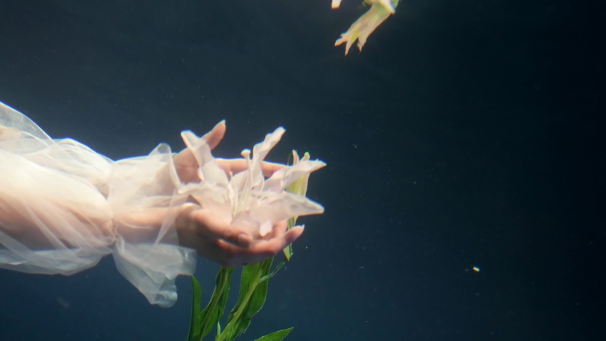 magic underwater shot with beautiful white lily in woman hands, lady is clenching petals of flower Royalty-Free Stock Footage #1092823989