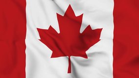 realistic Canada waving flag. smooth 4k video seemless loop
