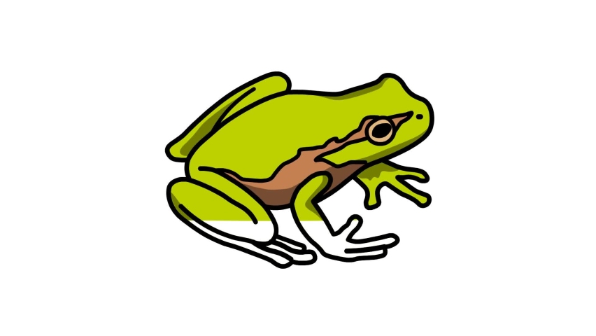 Frog Sketch and 2d animated, animal  | Shutterstock HD Video #1092846309