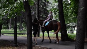 Girl on a horse. Shooting from behind