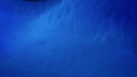 Village in the Forest. Beautiful Merry Christmas 3d Animation, Full HD. - Powered by Shutterstock - Get 15% off with code: PIKWIZARD15