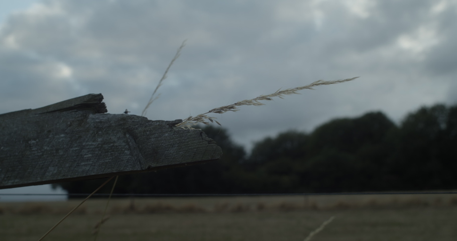 A CLOSE UP of a broken wooden fence with a fly, in a rural countryside field at blue hour. HANDHELD, BOKEH.