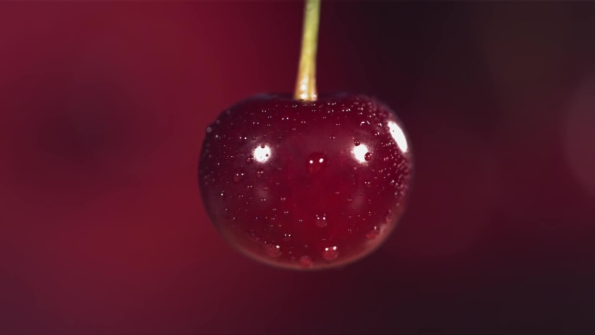 Cherries in juice splash dark red background in slow motion Royalty-Free Stock Footage #1092860085