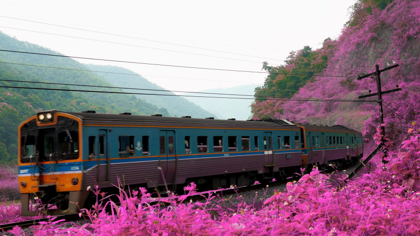 Diesel train passes through the scenic landscape along the hillside and the river among pink flowers on both sides of the railway at Kaeng Luang, Phrae province unseen Thailand. Royalty-Free Stock Footage #1092877977