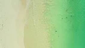 Aerial view of a sandy beach on the coast of the Indian Ocean. Background landscape video of an exotic beach. High quality 4k footage