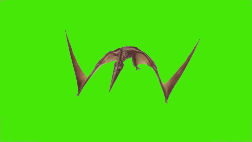 Pterodactyl Porn Video