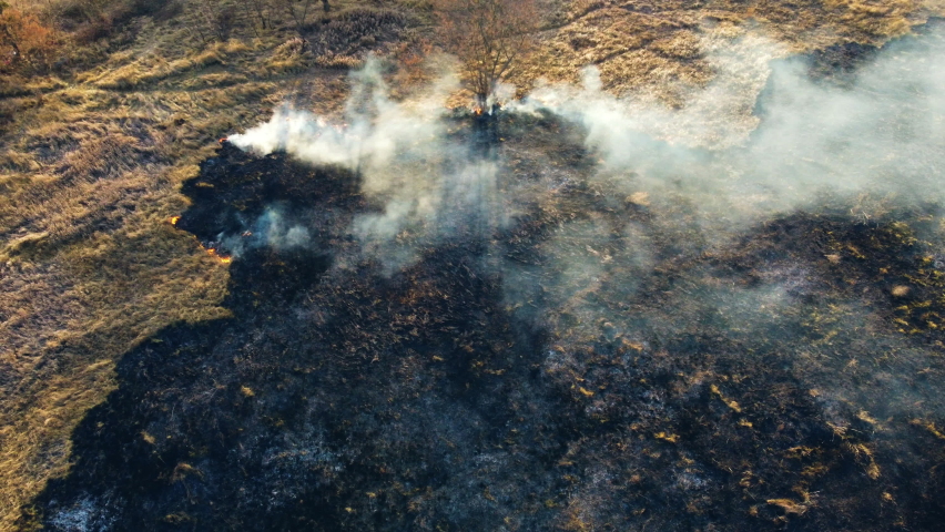 Aerial Drone View Over Burning Dry Grass and Smoke in Field. Flame and Open Fire. Top View Black Ash from Scorched Grass, Rising White Smoke and Yellow Dried Grass. Ecological Catastrophy, Environment | Shutterstock HD Video #1092897431