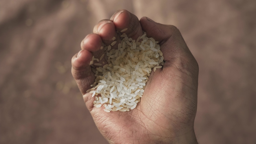 uncooked dry rice in hand. world food crisis, export, import. harvest problems in the world, impact of sanctions. hunger crisis 2022. increase in food prices and shortages of food supplies Royalty-Free Stock Footage #1092898285