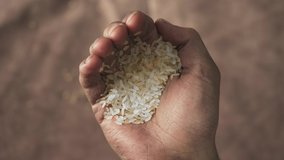 uncooked dry rice in hand. world food crisis, export, import. harvest problems in the world, impact of sanctions. hunger crisis 2022. increase in food prices and shortages of food supplies - Powered by Shutterstock - Get 15% off with code: PIKWIZARD15
