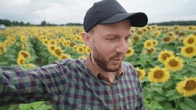 Countryside, farmer walks through a field of sunflowers and takes a video of himself, video blogger tells about the sunflower harvest on video for social network.