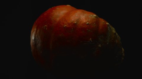 Close-up, forward movement, red pumpkin in turning motion on a black background