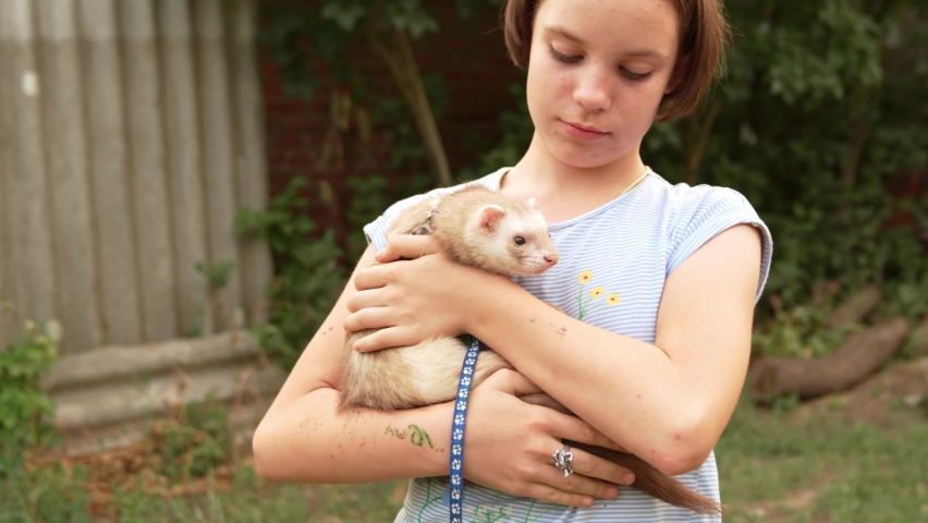 a teenage girl holds a domestic ferret in her hands on a walk. unusual pets. pet shop. vitamins and accessories for rodents.