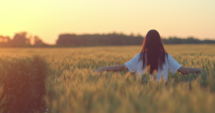 youg brunette woman is admiring beautiful sunrise in rye field, rear view, 4K, Prores