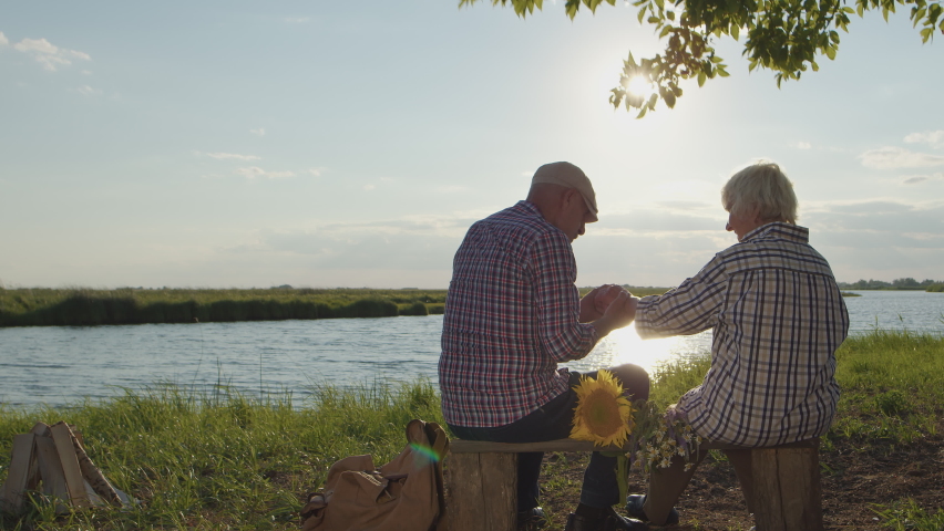 Happy affectionate elderly grandfather kiss grandmothers hand sitting at lake beach in sunshine outdoors. Romantic tenderness, gentle marriage harmony, loving caring feelings, carefree date at nature Royalty-Free Stock Footage #1092915001