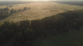 Aerial drone shot showing beautiful sunlight lighting over meadow and forest. Idyllic sunlight shining early in the morning