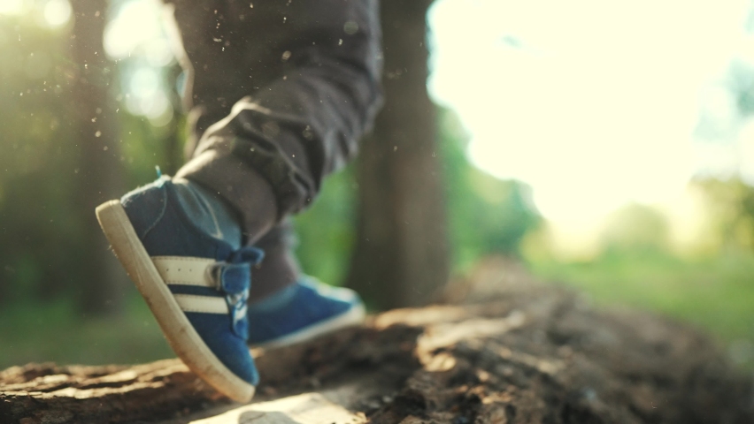 baby boy playing in the forest park. close-up child feet walking on a fallen tree log. happy family kid dream concept. a child in lifestyle sneakers walks on a fallen tree in park Royalty-Free Stock Footage #1092915137