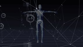Animation of data processing over skeleton. Global business and digital interface concept digitally generated video.