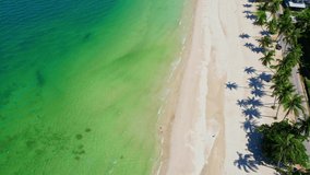 Drone flying over the coconut palms with the beach and the sea. Tropical seas in Thailand. thung wua laen beach. one of the best white sand beaches in the world. Chumphon, Thailand. 4K
