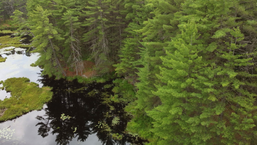 Algonquin Provincial Park Slow Sliding Aerial View, Mirror Like Lake, Beautiful Surrounding Forrest