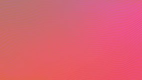 Pink orange fluorescent gradient with wavy lines animation, 4k abstract motion graphics dynamic background.