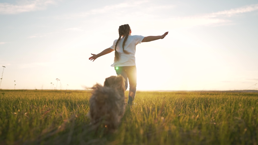 Cheerful child run along green grass. Dog run after girl along green glade in summer. Child play with dog in park. Happy girl walk in summer in park with dog. Child in rays of sun in field on grass. Royalty-Free Stock Footage #1092956237