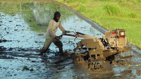 Yogyakarta, Indonesia - August, 2022 : Farmer plowing muddy field with hand tractor. A farmer is using a tractor to plow a rice field filled with water to prepare for next season planting. Mud soil.