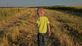 Little boy running among the wheat field