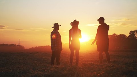 Rear view silhouette group of three farmers friends walking in field at sunset. Agriculture. Hiking walking in outdoor nature. Summer leisure activity. Two men and woman. Team work in agribusiness.