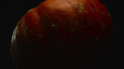 Close-up, red pumpkin on a black background in a turning motion