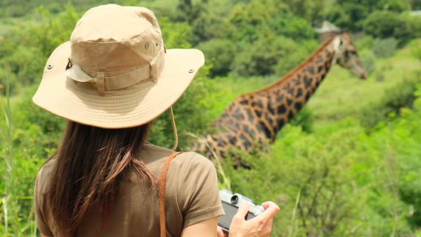 girl traveler in safari style photographs a giraffe in the savannah. Happy zoology student girl taking photo while giraffe drinking from lake. traveler girl watching giraffes in the savannah Royalty-Free Stock Footage #1092982429