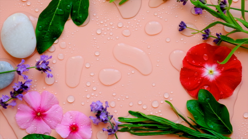 Background with water drops and flowers. Selective focus. | Shutterstock HD Video #1092988259