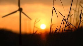 Looping Video Of A Wind Turbine Generating Clean Renewable Energy During A Beautiful Sunset, With Focus On Grasses In The Foreground