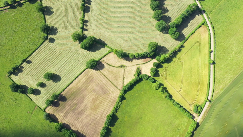 Fields of flax and barley in the middle of green countryside and forests, in Europe, France, Burgundy, Nievre, towards Nevers, in summer, on a sunny day.