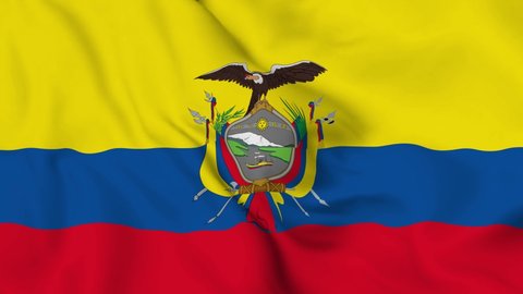 Realistic Ecuador Waving Flag Smooth 4k Stock Footage Video (100% ...