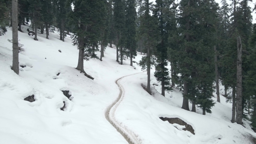 Aerial shot passing through deodar trees having tracks made on snow by humans in Kashmir valley, India Royalty-Free Stock Footage #1093014309