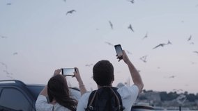 Girl and boy recording slow motion video of birds flying with mobile phone at sunset. Young Girl and boy shooting video of seagulls at sky on smartphone at Sunrise. Couple in love chilling out