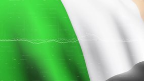 Animation of financial graph over flag of ireland. Irish finance, economy and business concept digitally generated video. - Powered by Shutterstock - Get 15% off with code: PIKWIZARD15