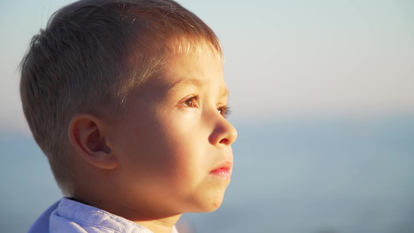 Caucasian little boy looking up at sky in nature outdoor with curious or carefree expression. Beautiful facial features and brown eyes glow in sun. Portrait of face profile close up. Leisure activity. Royalty-Free Stock Footage #1093027517