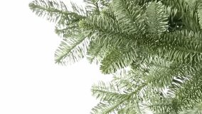 Close-up of Nobilis green branches isolated on white background. Showing in motion bunch of fresh fir for winter holidays decor. Preparing for Christmas and New Year decoration concept. - Powered by Shutterstock - Get 15% off with code: PIKWIZARD15